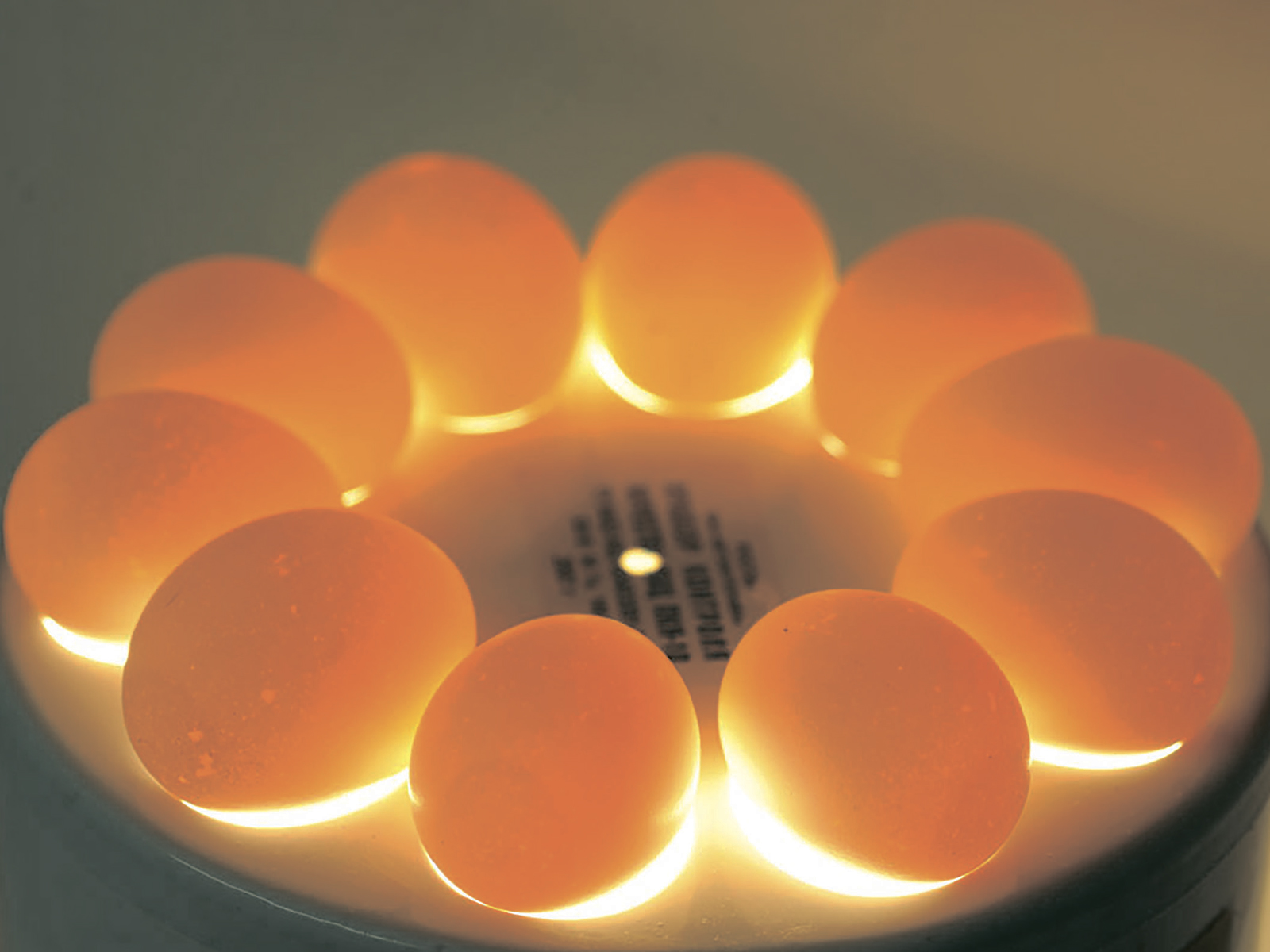 Экспертиза качества яиц