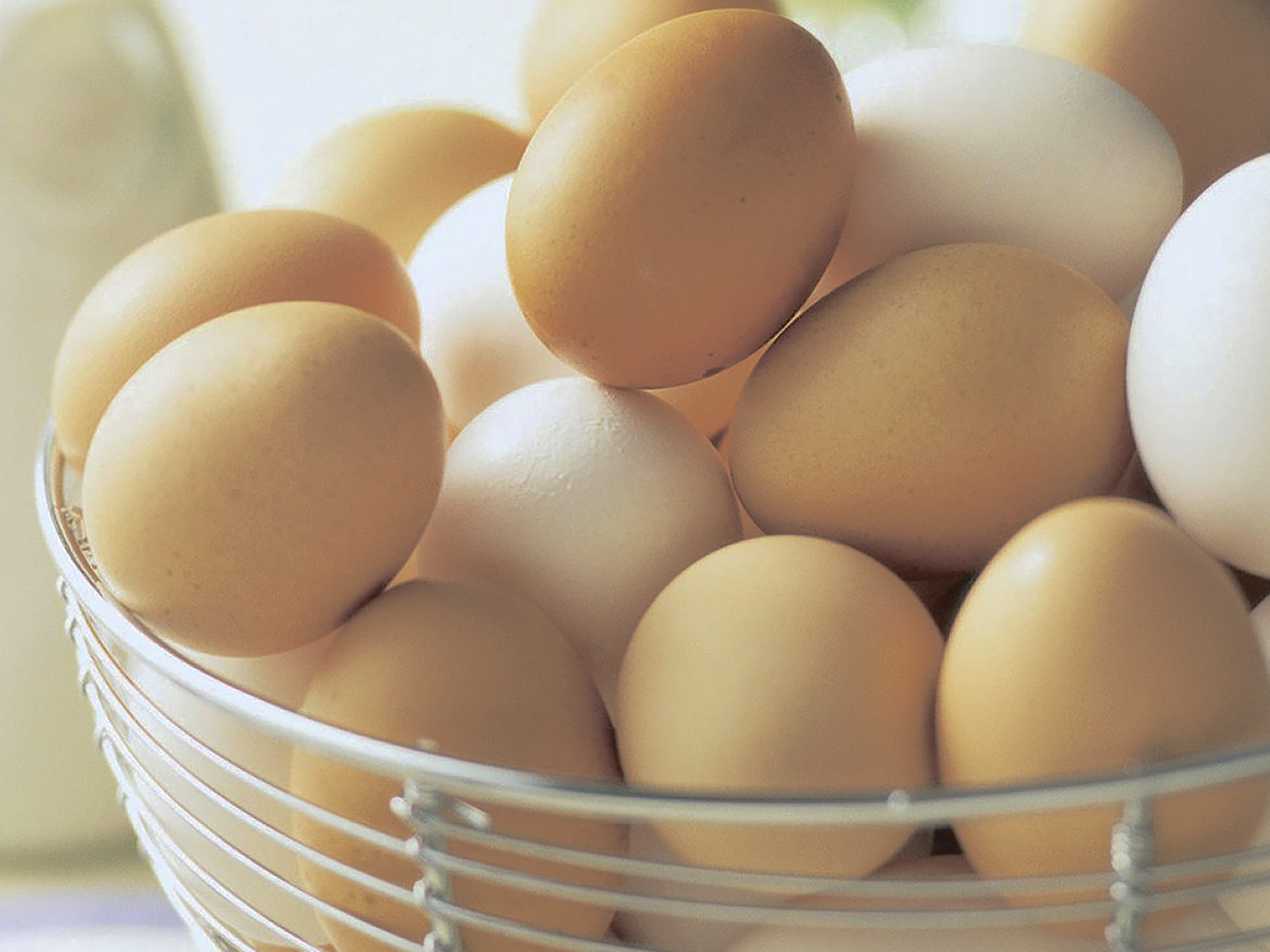 Красивые молодые яйца. Яйцо куриное. Курица с яйцами. Яйцо белое. Яйца фото.